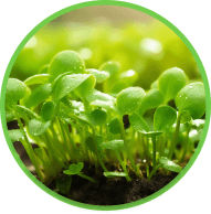 Organic Remediation Products