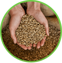 Organic Remediation Products